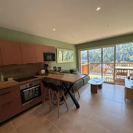 Neuf, Face Telesiege - 6 Pers. Apartment *